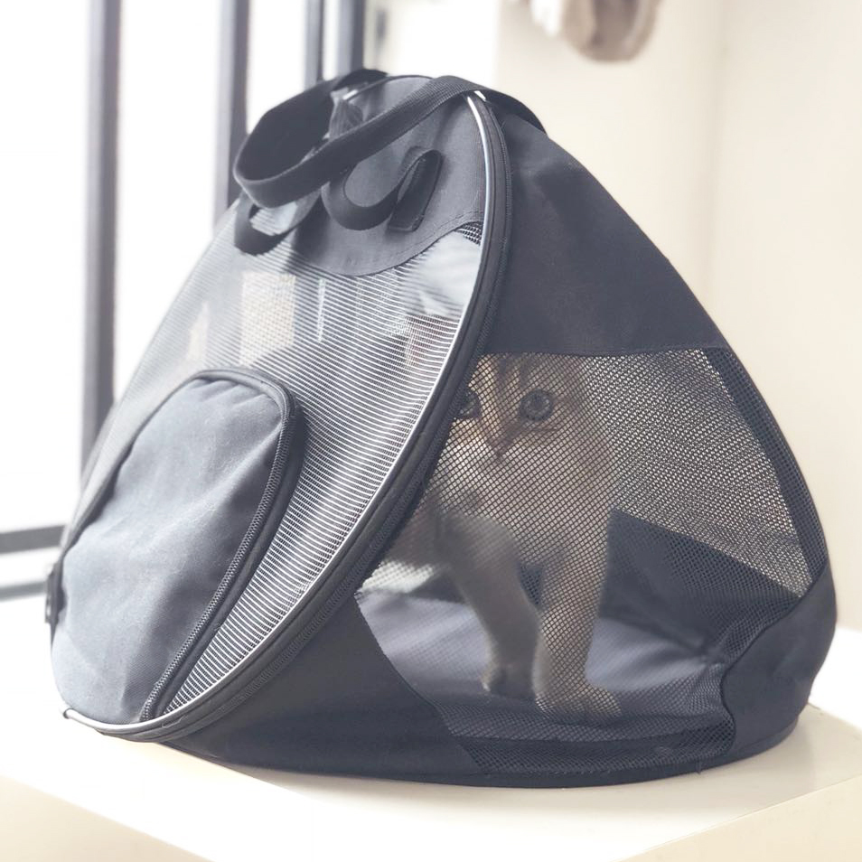 宠物包外出便携猫包可折叠轻便猫笼子猫咪狗狗旅行外带透气手提包12-02新券