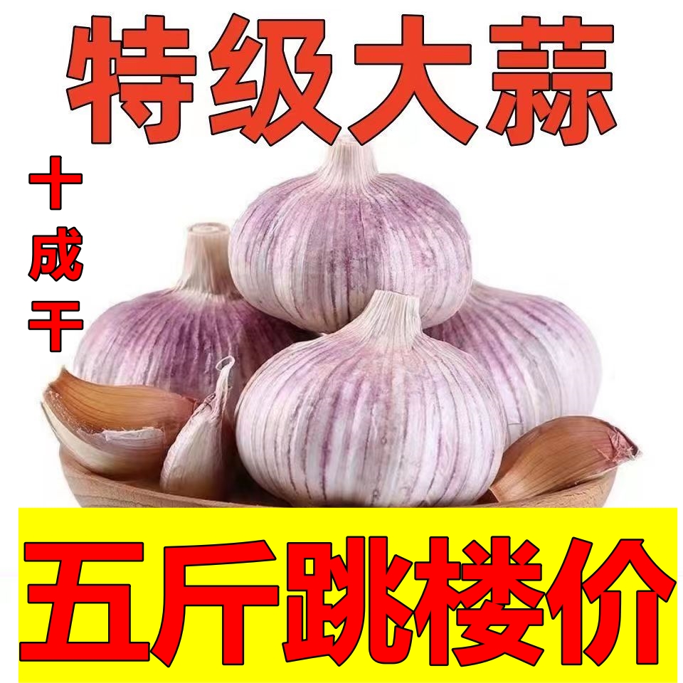 【十足干】紫白皮大蒜头干蒜