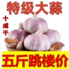 主图
