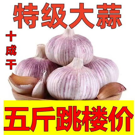 【十足干】干蒜紫白皮大果正宗农家自种干蒜5斤9斤整箱大蒜头蒜干