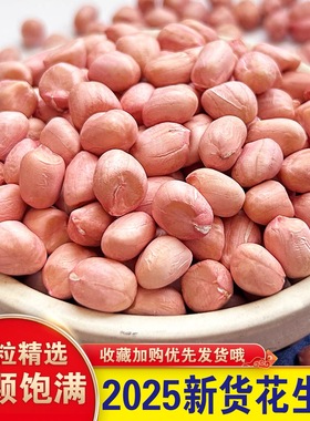 25年新生花生米原味现剥无壳粉皮新鲜大粒榨油家常用精选生花生仁