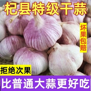 2025年新蒜紫白皮大蒜头干蒜红皮大蒜种籽3 9斤杞县农家自种产