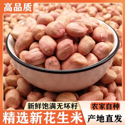 2025年新花生米河南大颗粒
