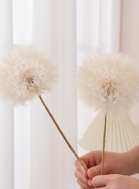巨型蒲公英花朵干花永生花装饰品插花插瓶小摆件拍照单只花卉道具