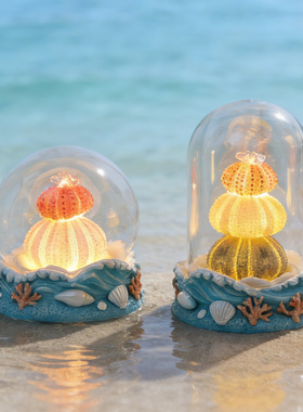 海胆壳贝壳小夜灯手工装饰品摆件