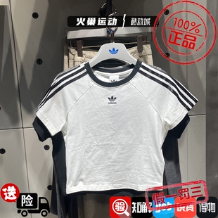 Adidas三叶草女子26新款经典撞色刺绣高腰T恤 JC8703JC8704KF0314