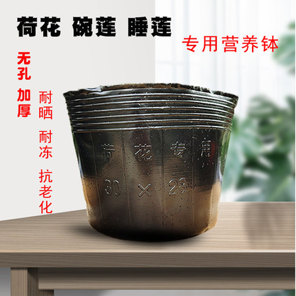 荷花盆加厚一次性黑色塑料无孔碗莲盆水生植物育苗盆睡莲盆营养钵