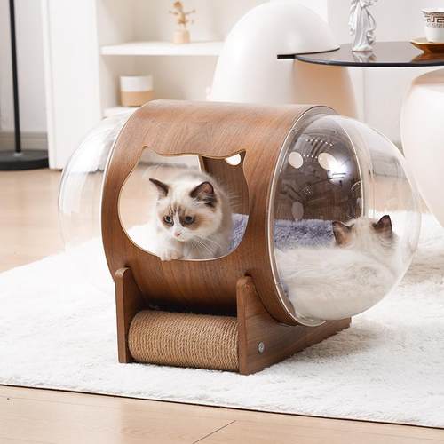 网红太空舱猫窝透明四季通用