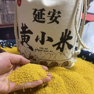 延安特产黄小米米脂油小米农家黄小米5斤布袋装