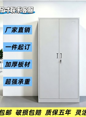 定制款收纳柜文件柜宽60/70/80/90/cm办公铁皮柜家用带锁储物柜子