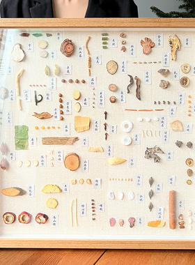 标本装饰画中医馆装饰手工画传统文化茶室养生馆背景墙装饰画