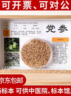 中医文创标本展示材标本装饰画中草药标本相框中医文化墙