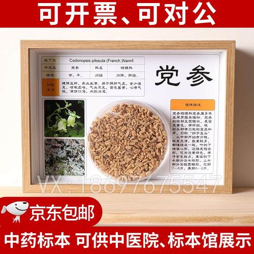 中医文创标本展示材标本装饰画中草药标本相框中医文化墙