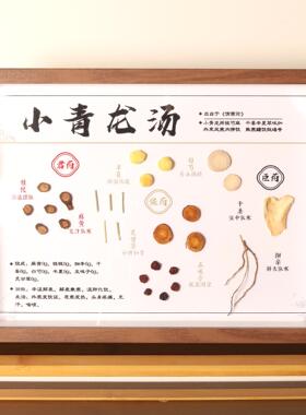 中医标本标本展示材标本装饰画中草药标本相框中医文化墙
