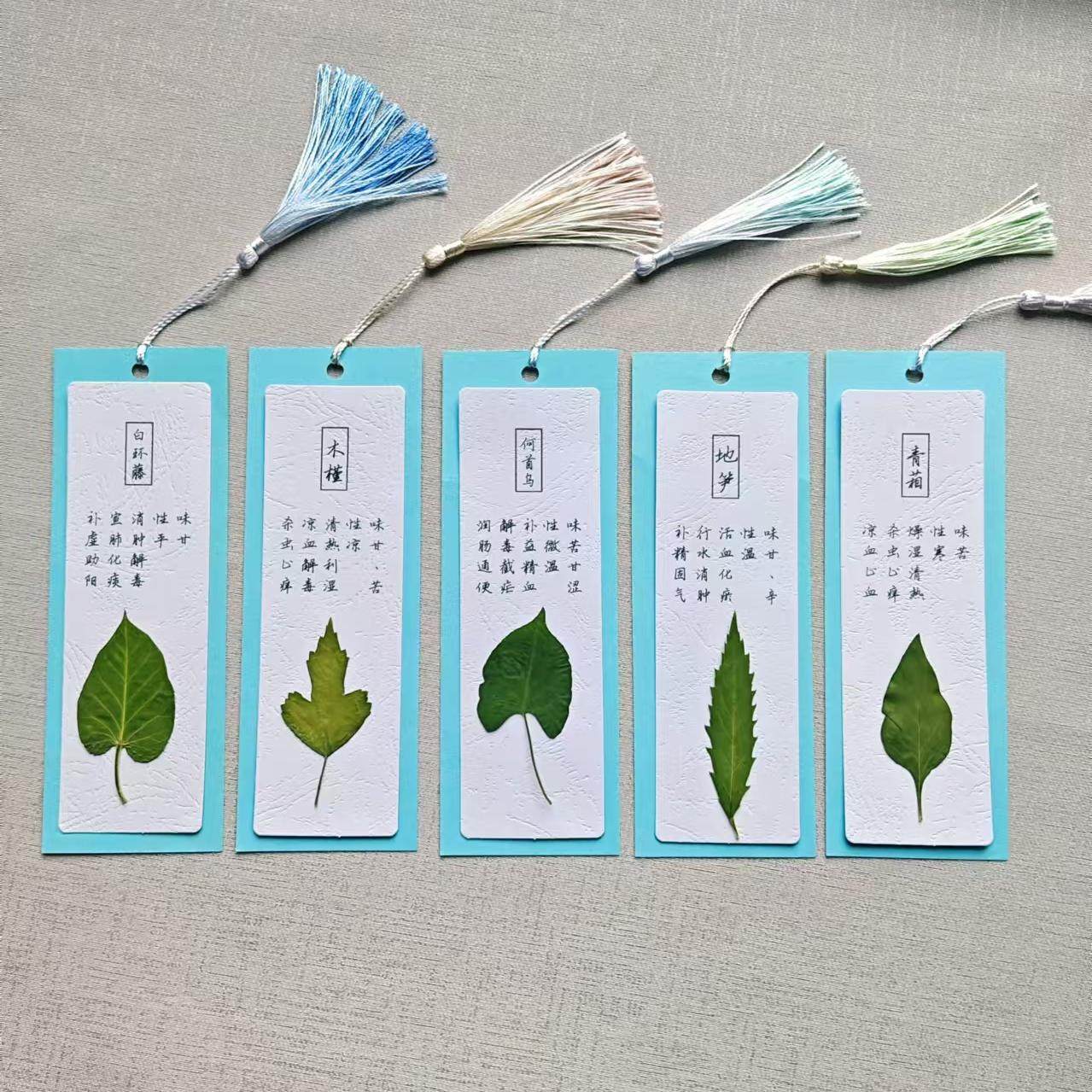 中医常见草药功效真植物叶子压花书签DIY手工材料包半成品
