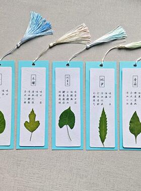 中医常见草药功效真植物叶子压花书签DIY手工材料包半成品