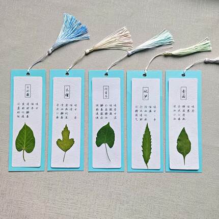 中医常见草药功效真植物叶子压花书签DIY手工材料包半成品