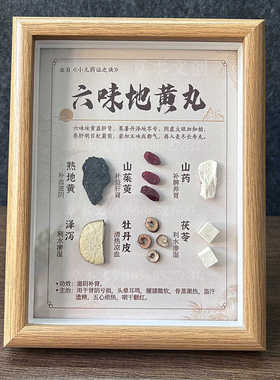 中草药标本展示中医院医馆装饰画传统中医文化宣传画文创