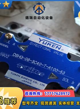 dshg-06-3c40-t-a100-53 全新的 需议价