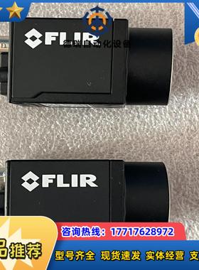 FLIR 灰点 2000万工业相机BFS-P-200S议价