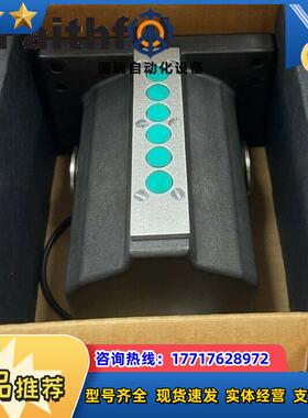 E 041623 安士能全新安全开关 RGBF06X12-781L议价
