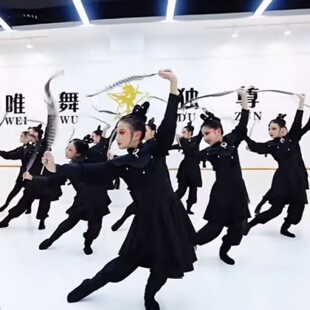 满庭芳玄羽舞蹈演出服花木兰考级古典舞女英姿飒爽飘逸翎羽表演服