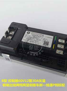 雅迪电动车电摩莱客博悦新公主劲鲨豪远米迪米彩控制器原装正品