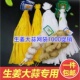 包邮 1000条生姜网袋大蒜头超市分装 专用加密姜蒜网兜带标签袋批发