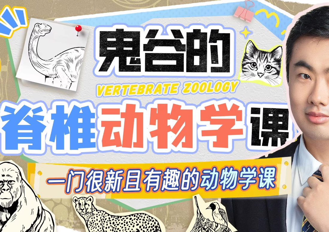 鬼谷的脊椎动物学课