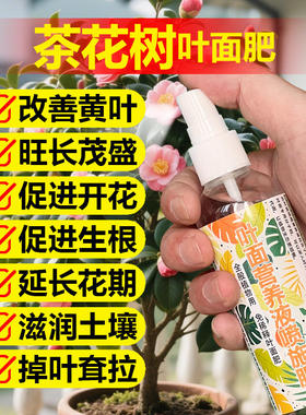 茶花树专用肥料盆栽树苗山茶花肥改善叶子尖枯发黄锈斑营养液肥料