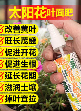太阳花专用肥料养殖盆栽营养液开花生长生根长花苞出芽长叶面肥料
