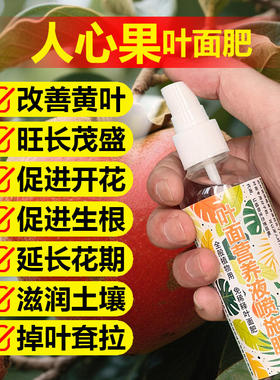 人心果专用肥料盆栽种植人心果树苗喷剂营养液发黄干枯萎叶面肥料