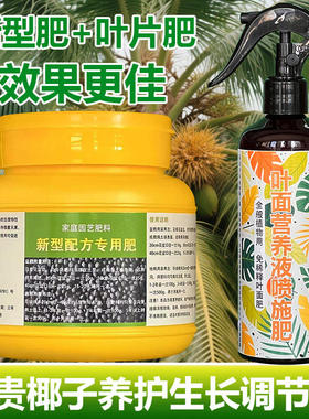 富贵椰子专用肥料花盆栽绿植专用土袖珍椰子凤尾竹营养液叶面肥料
