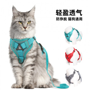 狗狗背带牵引黑色牵引绳胸背防挣脱小型犬可爱夏季牵引绳中型犬