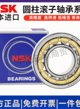 NSK进口圆柱滚子轴承RN NUP NF203 204 205 206 207 208 209 210M