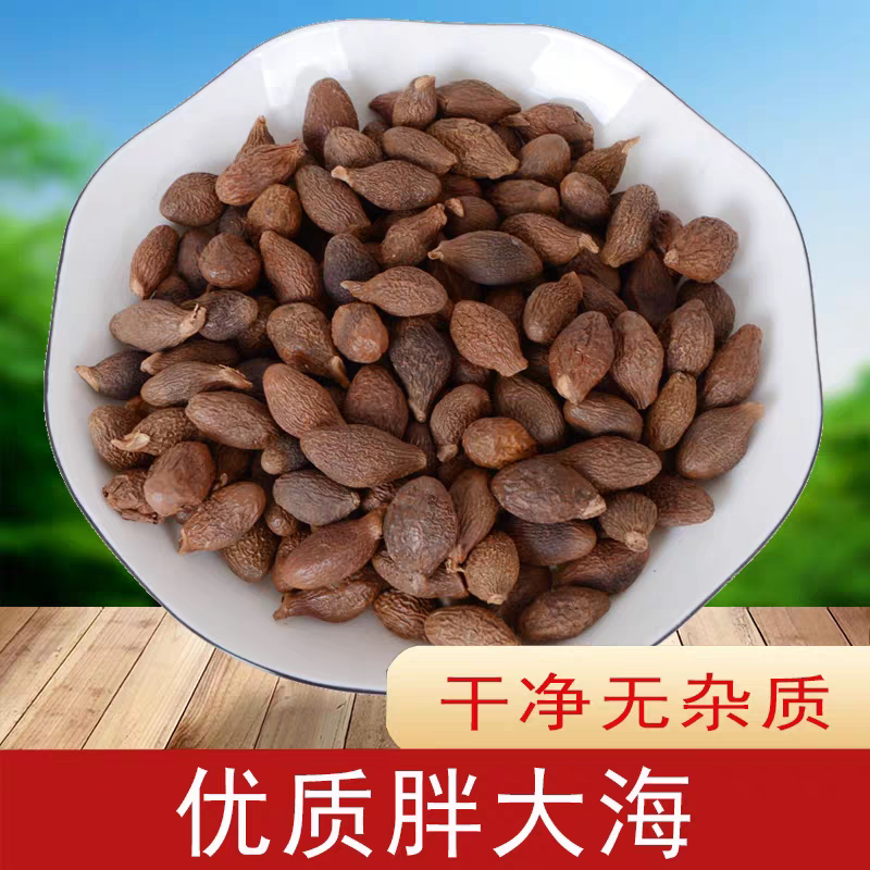 中药材胖大海泡水润喉茶 胖大海果泡大海优质散装泡茶凉茶