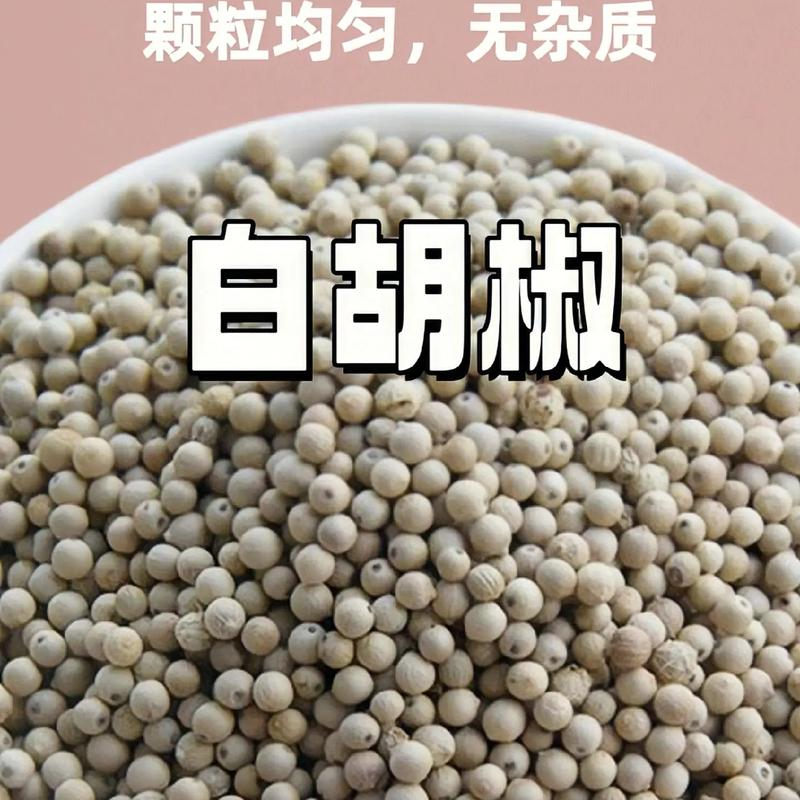 广西玉林白胡椒粒正宗去腥增香美味玉林中药港