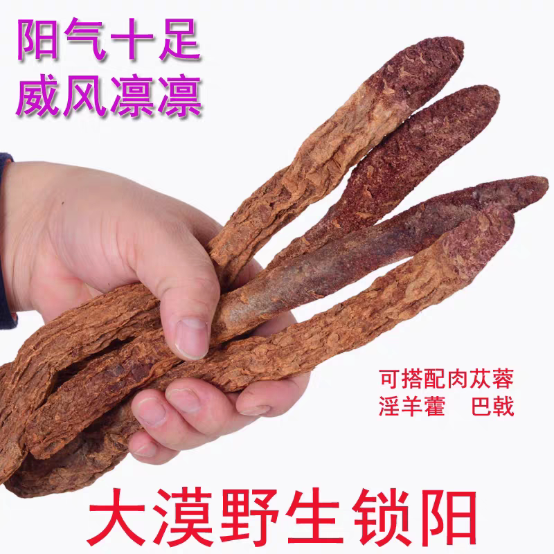中药材锁阳 正品优质锁阳男性滋补泡酒每份250克包邮