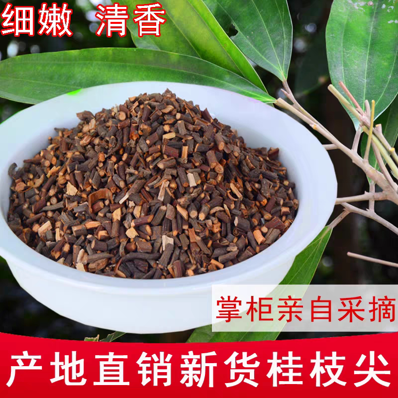 桂枝尖中药材 精品无硫桂枝广西野生老树桂枝细嫩香桂枝汤原料