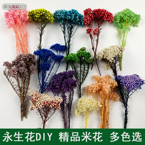 永生花DIY 精品米花5g/20g/65克 保鲜花玫瑰木绣球花材厂家直销