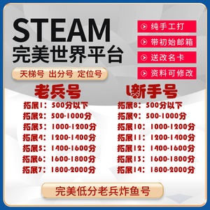 SteamCS2国服完美世界老兵号