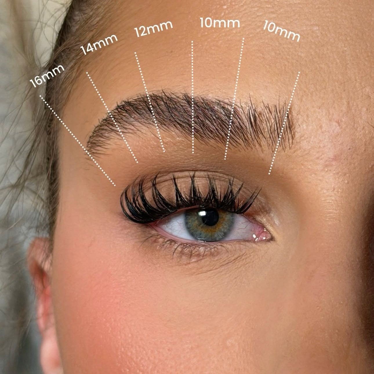 【天生带刺】欧美风浓密W型分段透明梗单簇假睫毛3D立体簇状卷翘