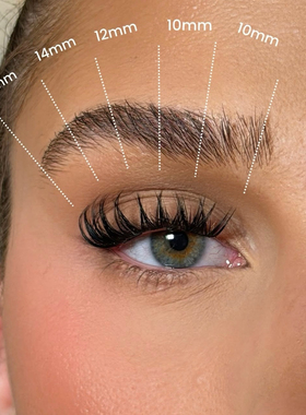 【天生带刺】欧美风浓密W型分段透明梗单簇假睫毛3D立体簇状卷翘