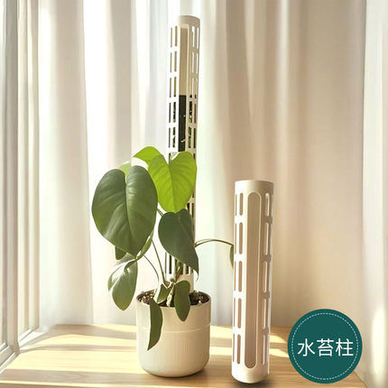 白锦龟背竹攀爬柱水苔柱棒热植绿萝可拼接增高蔓绿绒爬藤水苔柱