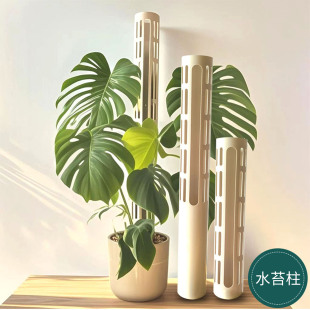 白锦龟背竹攀爬柱水苔柱棒热植绿萝可拼接增高蔓绿绒爬藤植物支架