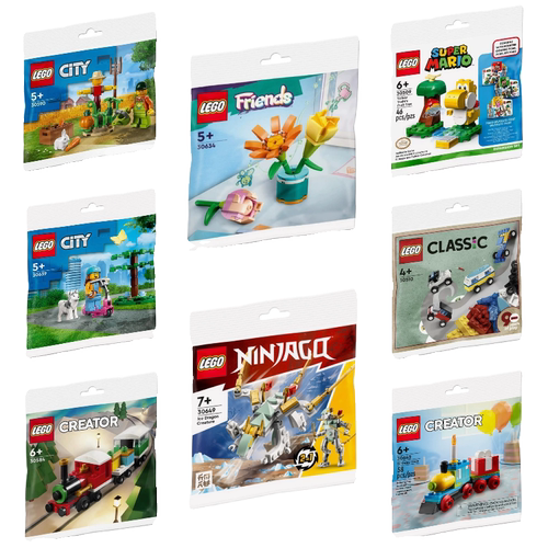 乐高LEGO拼砌包积木玩具