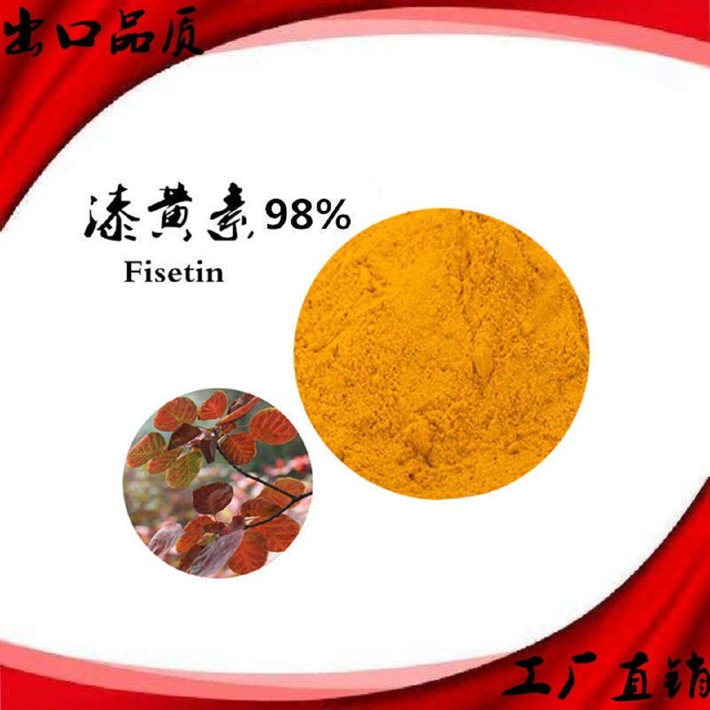 漆黄素98%增记忆黄杨木黄栌提取抗糖化衰老非瑟酮紫铆素非瑟素