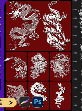 Precreate笔刷Ps笔刷中国龙神兽龙纹线稿图案龙图腾传统吉祥国潮
