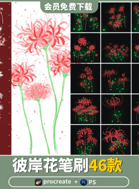 procreate笔刷ps彼岸花曼珠沙华手绘花卉花丛鲜花朵插画素材板绘