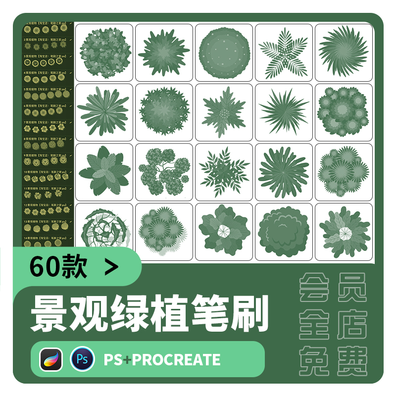 景观绿植procreate笔刷园林植物设计素材ps花草树鸟瞰平面俯视图